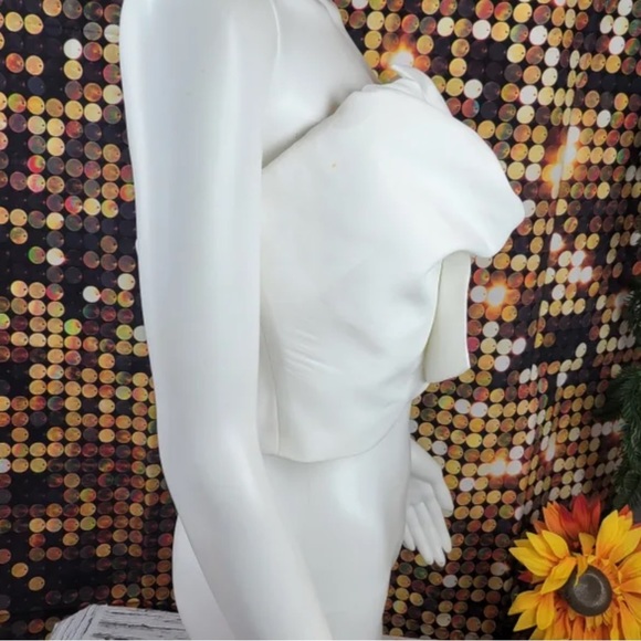 CHICWISH Satin-Like Strapless Crop Top - Picture 4 of 6